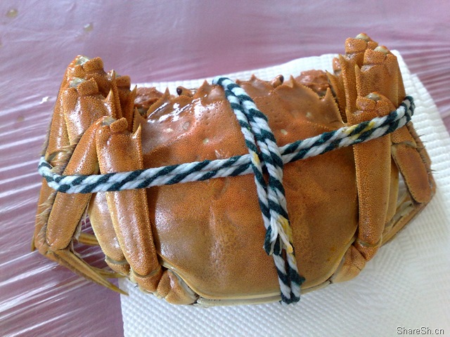 /posts/life/20091026-yangcheng-lake-crab-eating-one-day-tour-introduction/assets/boxcnT5r0UvFHKGlGLNIOGM2gbh.jpg