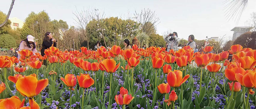 欲望之下的软肋与痛苦